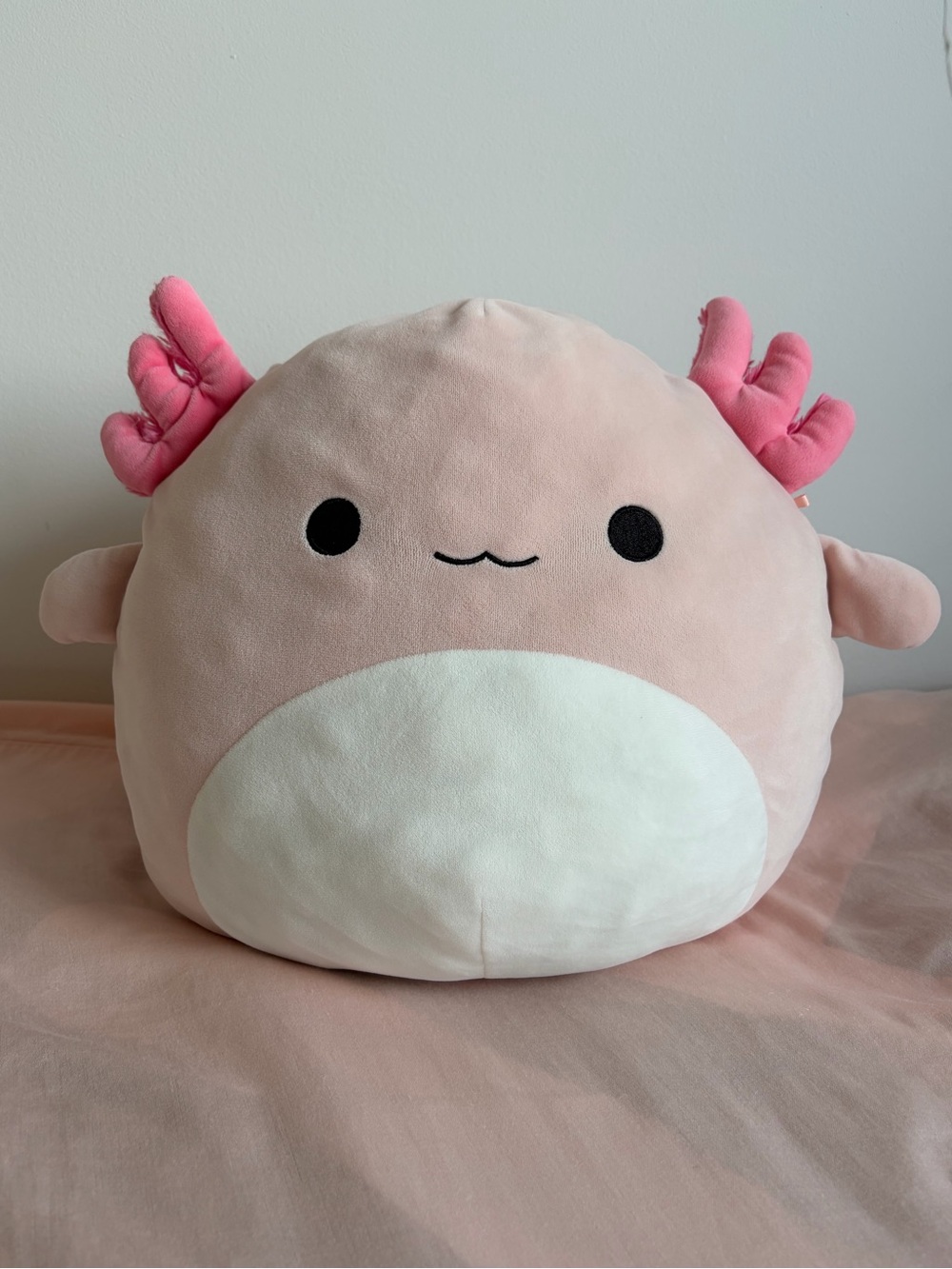 Squishmallow Archie the Axolotl
